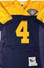 BRETT FAVRE SIGNED OFFICIAL MITCHELL & NESS PACKERS ACME JERSEY