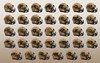 NFL 2023 SALUTE TO SERVICE II UNSIGNED SPEED MINI HELMETS - 2023 SPECIALTY MINI HELMET RUN